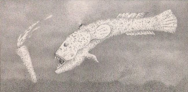 Kresby, koláže a jiné práce z let 1964-2013