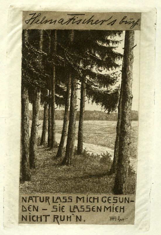 Helma Fischer´s Buch [Tannenlandschaft]