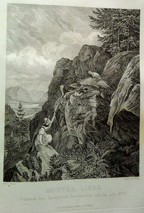 Bilderchronik des Sächsischen Kunstvereins. Jahrgang 1829 bis 1836.