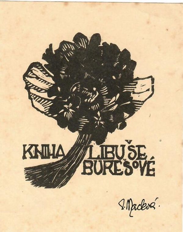 Kniha Libuše Burešové