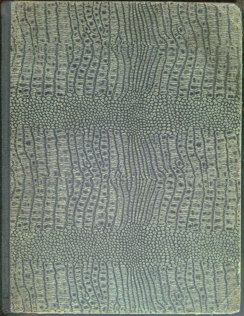 Čtrnáctero bájek Lafontainových s illustracemi od Gustava Doréa.