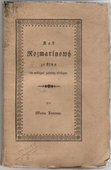 Keř Rozmarínowý, ze stjnu do weřegné zahrady přesazen.