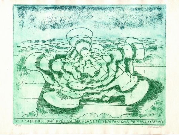 Projekt: Poslední květina na planetě zemi. Otáčivá, pojízdná, kybernet.