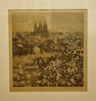 Hradčany z Petřína.