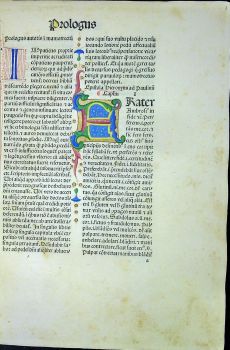 Mammotrectus super Bibliam.