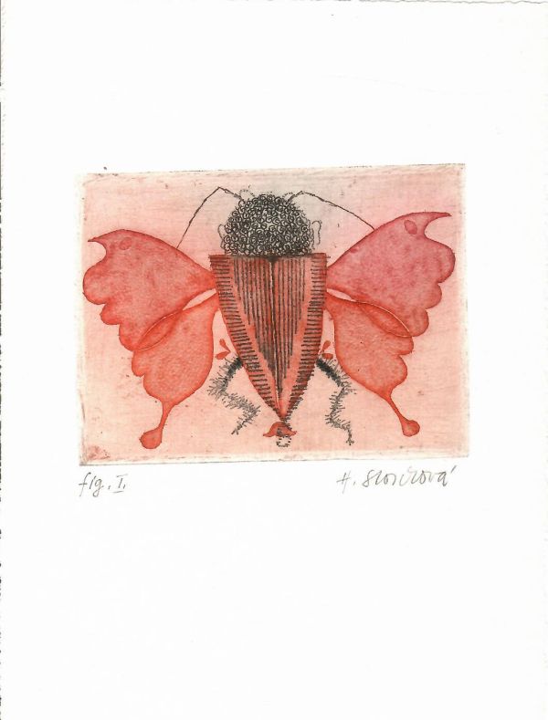 Vývoj brouka (z cyklu přírodozpytných záznamů). Fig. I.