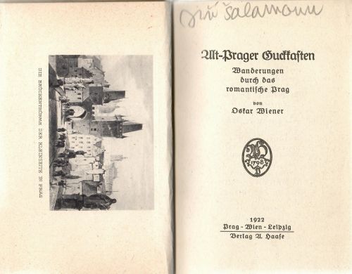 Alt-Prager Guckkasten. Wanderungen durch das romantische Prag.