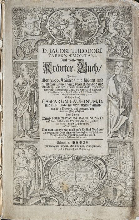 D. JACOBI THEODORI TABERNAEMONTANI Neu vollkommen Kräuter=Buch/ Darinnen Uber 3000. Kräuter/ mit schönen und kunstlichen Figuren/ auch deren Underscheid und Würckung/ samt ihren Namen in mancherley Sprachen/ beschrieben: Deßgleichen auch/ wie dieselbige in allerhand Kranckheiten/ beyde der Menschen und des Viehs/ sollen angewendet und gebraucht werden/ angezeigt wird. Erstlichen durch CASPARUM BAUHINUM, D. und Profess. Basil. mit vielen neuen Figuren/ nutzlichen Artzneyen/ und anderem/ mit sonderem Fleiß gebesseres: Zum Andern Durch HIERONYMUM BAUHINUM, D. und Profess. Basil mit sehr nutzlichen Marginalien, Synonimis, neüen Registeren und anderem vermehrt. Und nun vierdten mahl aufs fleissigst übersehen/ an unzahlbaren Orten absonderlich verbessert/ an scheinbaren Mängeln durchaus ergäntzt/ und endlichen zu hochverlangter Vollkommenheit gebracht. Theil 1-3 (komplet).