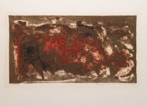 Biskupská čepice IV