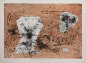 Cirkus