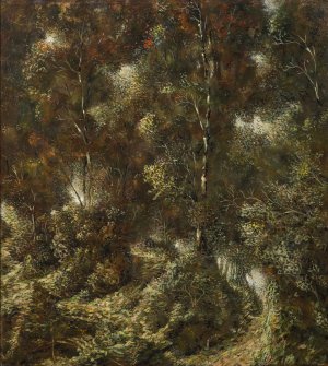 Waldlandschaft