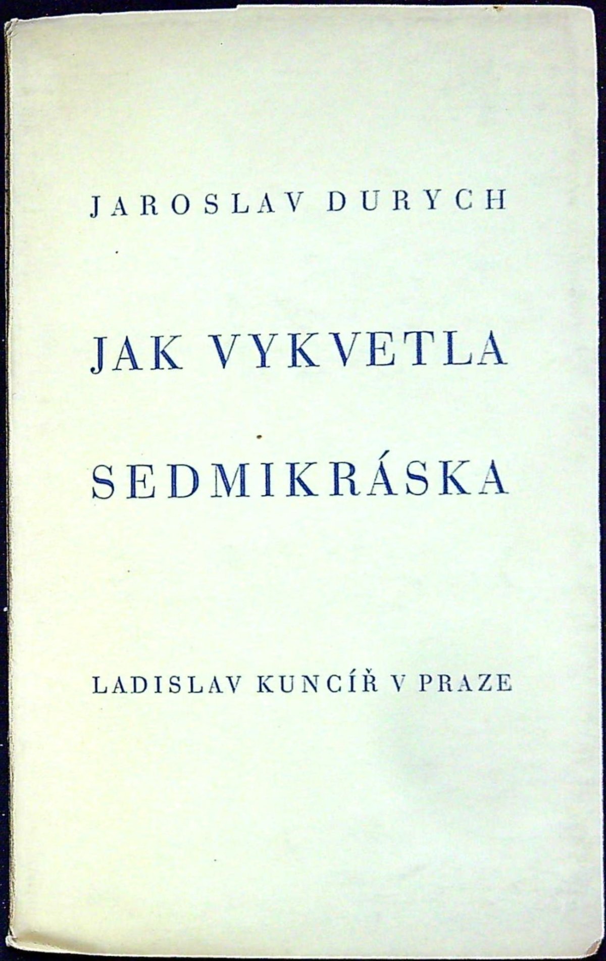 Jak vykvetla sedmikráska.